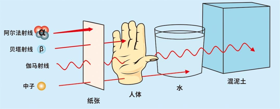 美狮贵宾会·(中国)官方网站